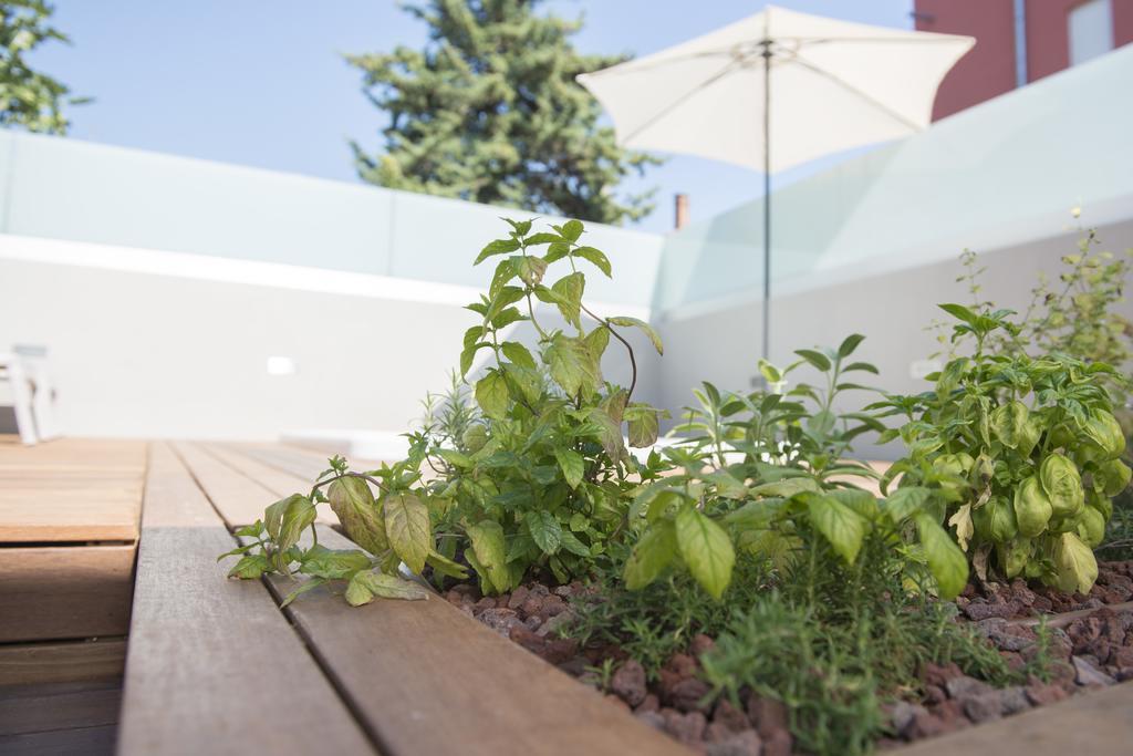 Villa Danex Premium Umag Eksteriør billede